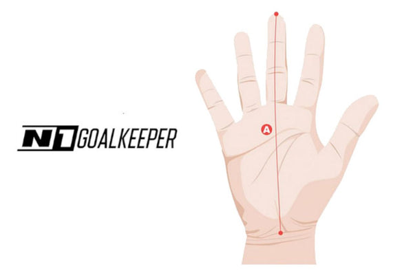 How to measure the length of your palm